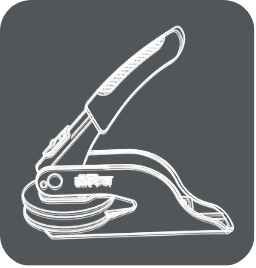 Home Page Dolphin Stamp
